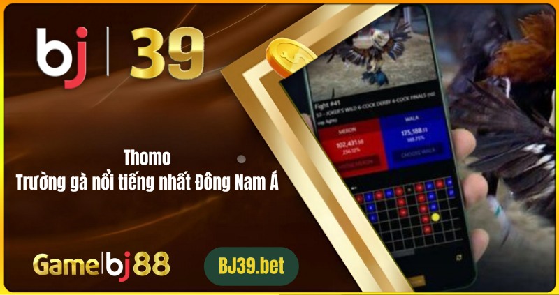 Thomo – Trường gà nổi tiếng nhất Đông Nam Á