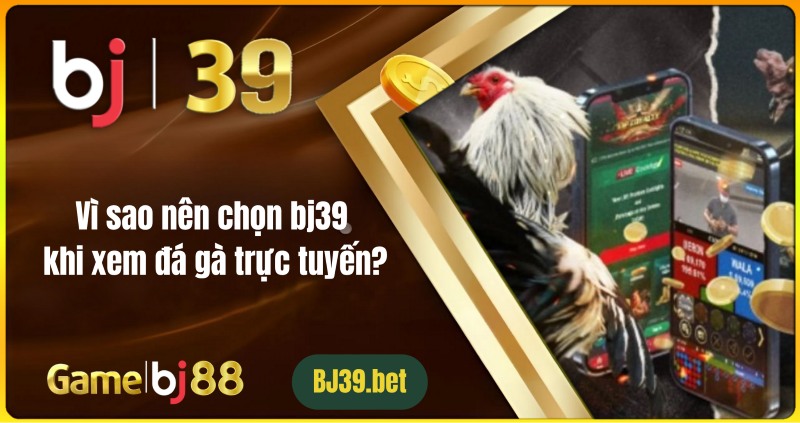 Vì sao nên chọn bj39 khi xem đá gà trực tuyến?